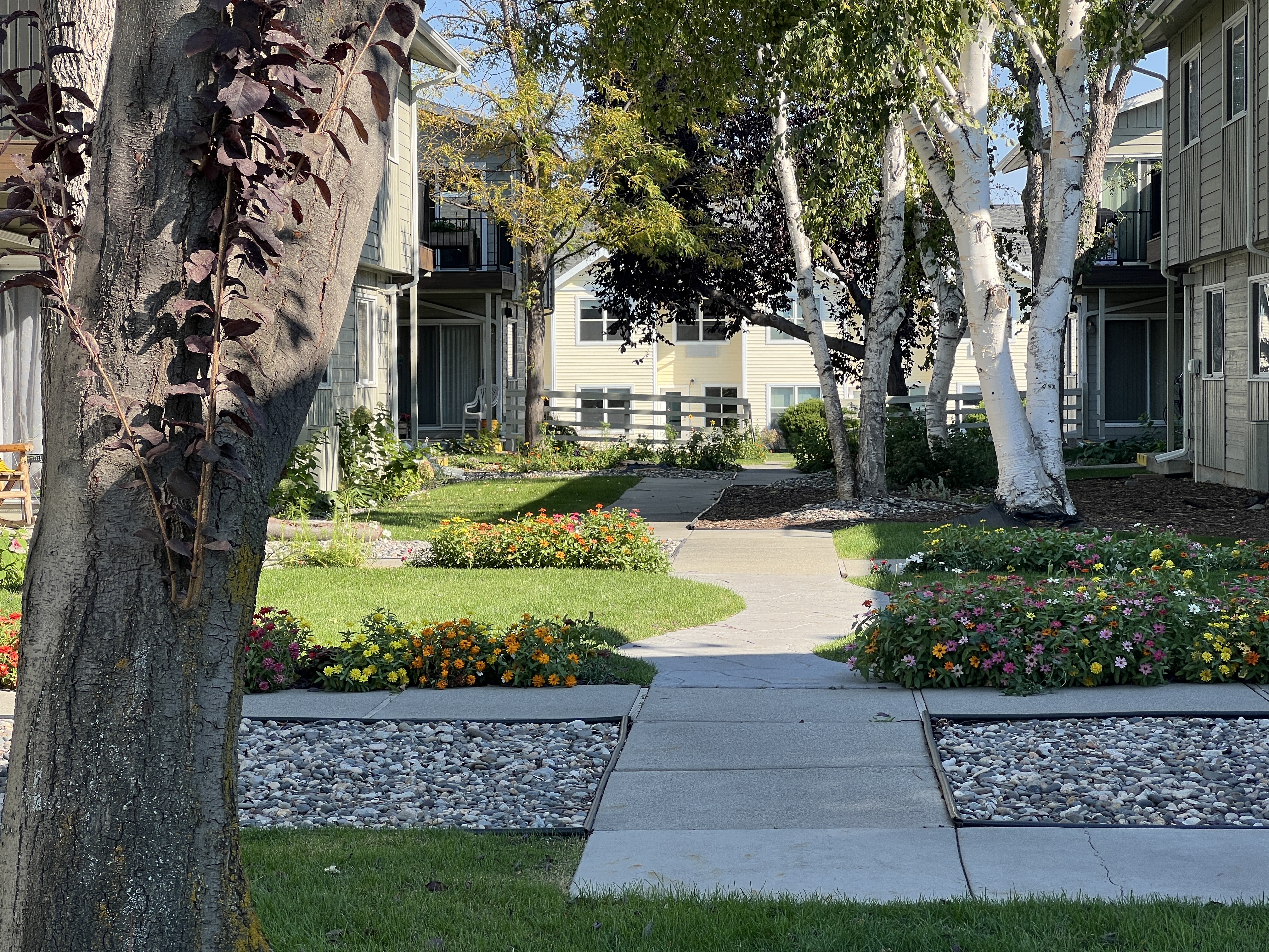 <a href="https://stoneridgecourt.neighborhood.online/news">News & Announcements</a> 67ae5aeb-7a94-4e03-976b-2bcf651b5c39.jpg